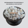 Studies and Findings on Frankincense Dalzielii