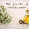Why Jojoba Oil Is Used in Botanical Skincare