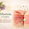 Allantoin in Comfrey: Why It Matters for Skin Regeneration