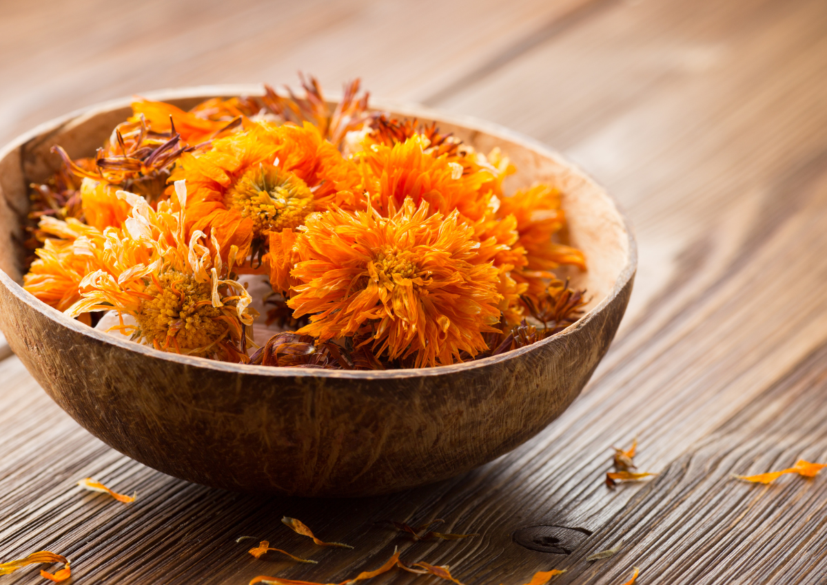 Benefits of Organic Calendula for the Skin