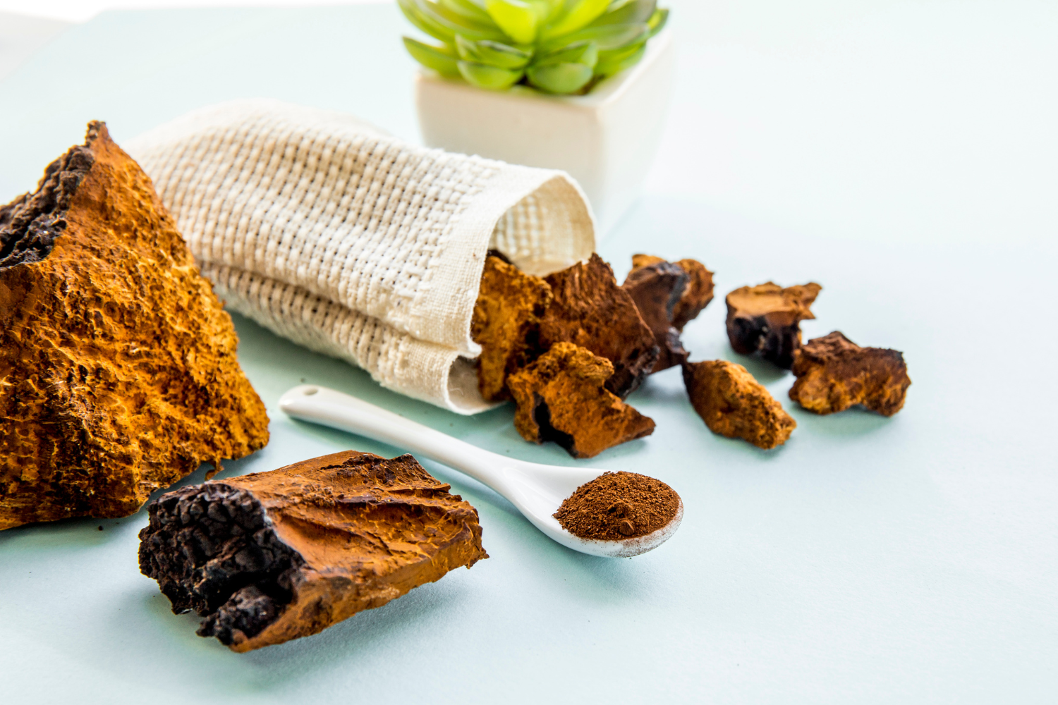 Incorporating Chaga and Tallow Into Skincare