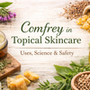 Comfrey in Topical Skincare: Uses, Science, Safety & History