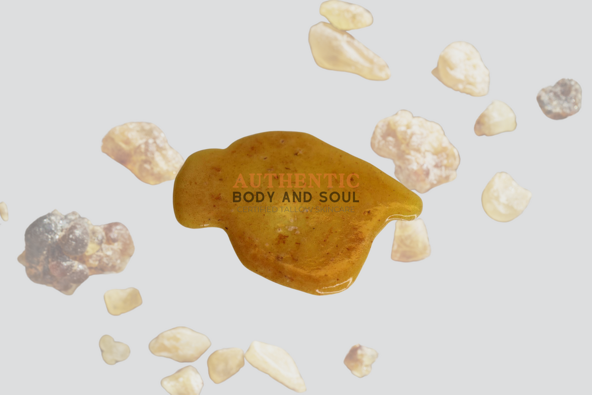 Authentic Body Frankincense Tallow Skin Cream - Authentic Body And Soul– Authentic ...