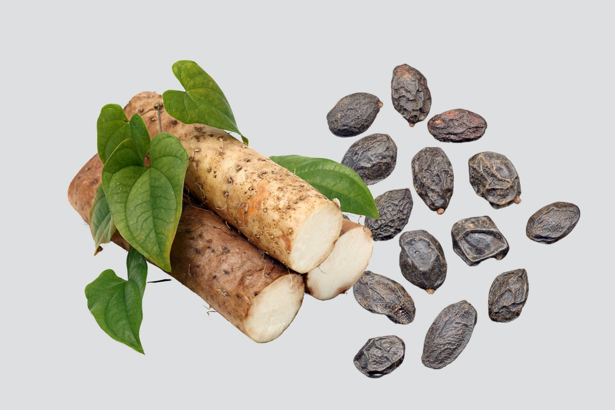 Combining Wild Yam and Saw Palmetto in Topical Cream Authentic Body