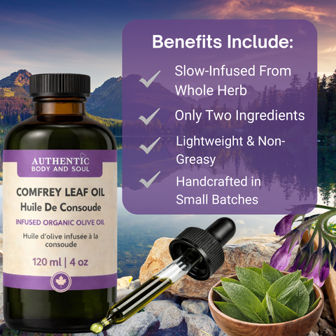 Comfrey Oil – Slow-Infused Organic Olive Oil