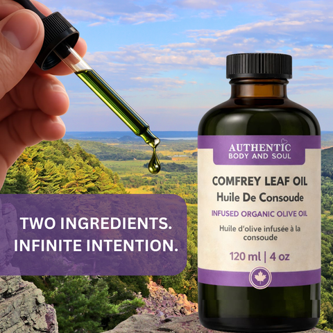 Comfrey Oil – Slow-Infused Organic Olive Oil